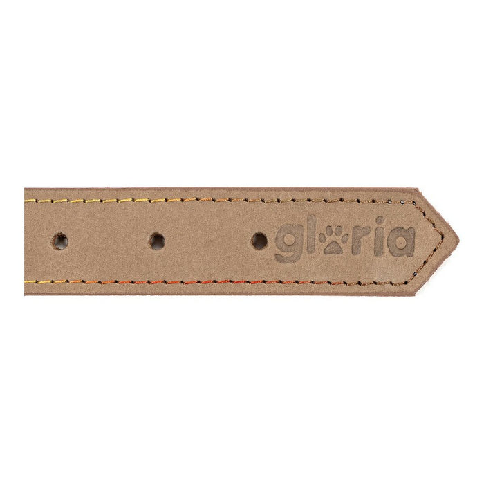 Zgardă pentru câini Gloria Oasis Alb (50 x 2,1 cm)