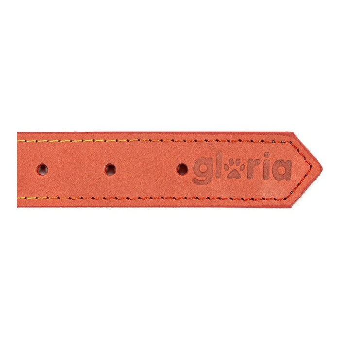 Zgardă pentru câini Gloria Oasis Roșu (50 x 2,1 cm)