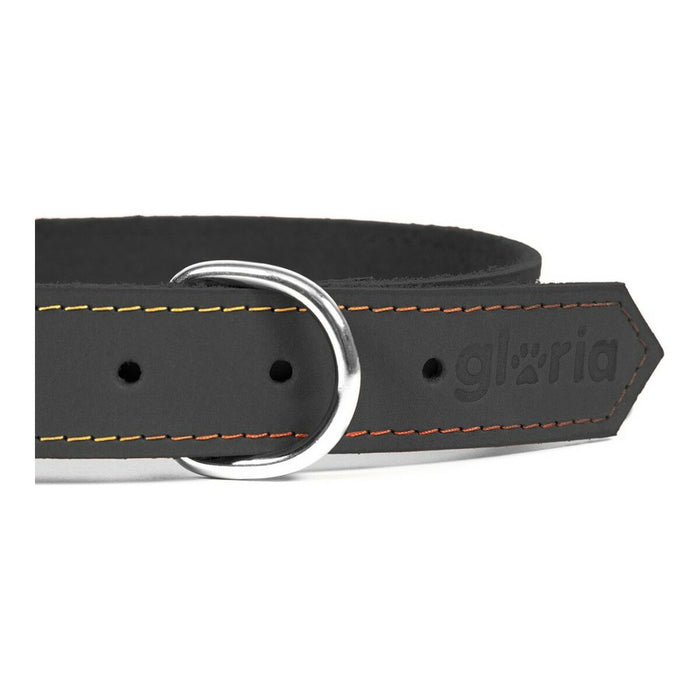 Zgardă pentru câini Gloria Oasis Negru (55 x 2,5 cm)
