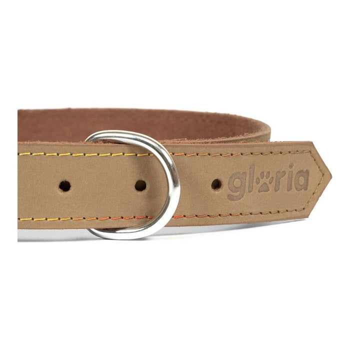 Zgardă pentru câini Gloria Oasis Alb (60 x 3 cm)