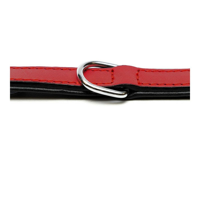 Zgardă pentru câini Gloria Căptușit Roșu 40 cm (40 x 2 cm)