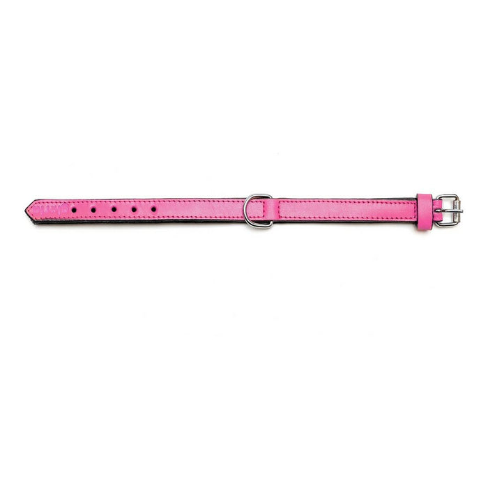 Zgardă pentru câini Gloria Căptușit Fucsia (40 x 2 cm)