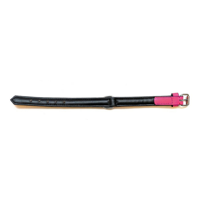 Zgardă pentru câini Gloria Căptușit Fucsia (50 x 2,5 cm)