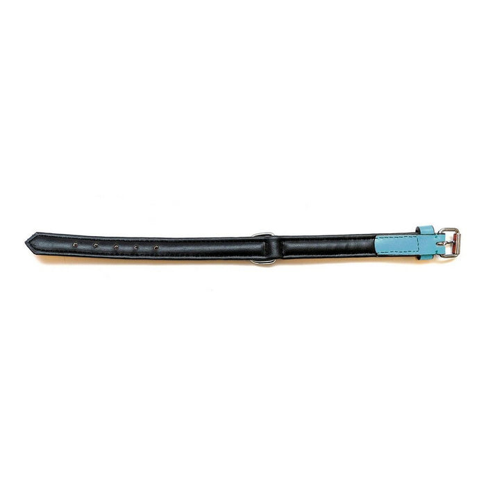 Zgardă pentru câini Gloria Căptușit Turquoise (35 x 1,5 cm)