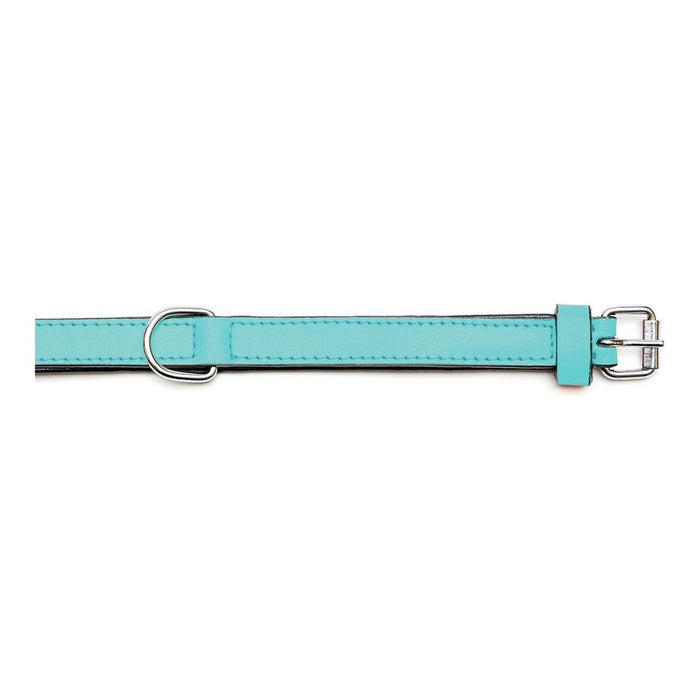 Zgardă pentru câini Gloria Căptușit Turquoise (50 x 2,5 cm)