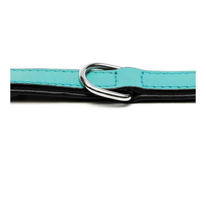 Zgardă pentru câini Gloria Căptușit Turquoise (50 x 2,5 cm)