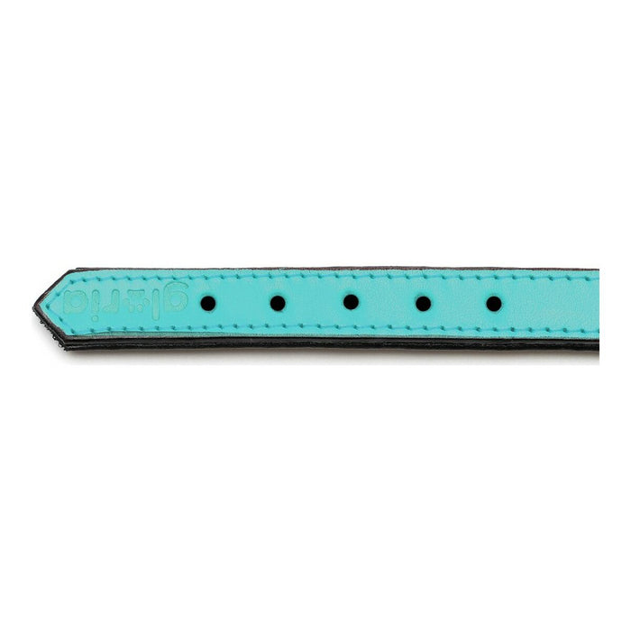 Zgardă pentru câini Gloria Căptușit Turquoise (50 x 2,5 cm)