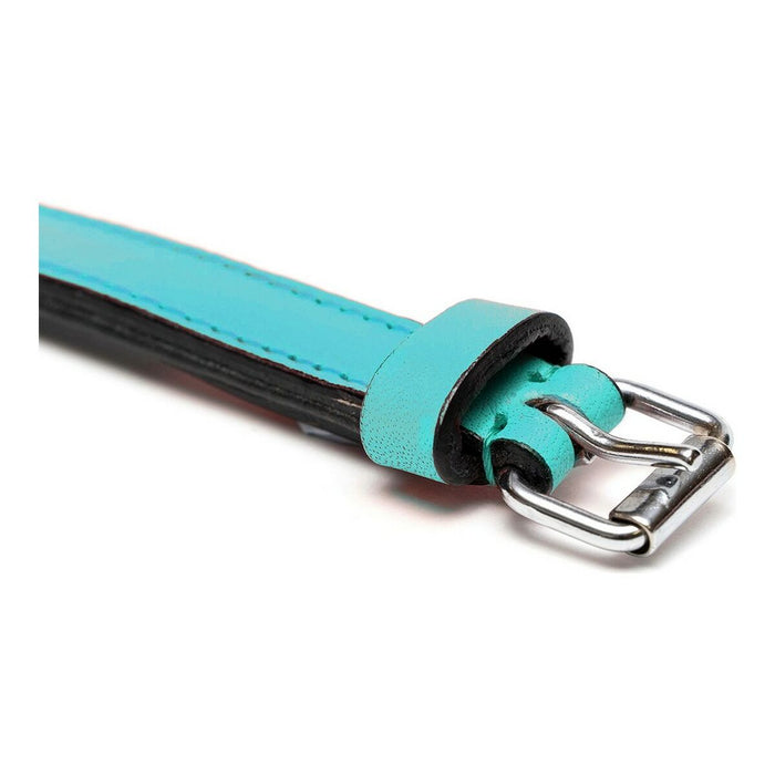 Zgardă pentru câini Gloria Căptușit Turquoise 55 cm (55 x 2,5 cm)