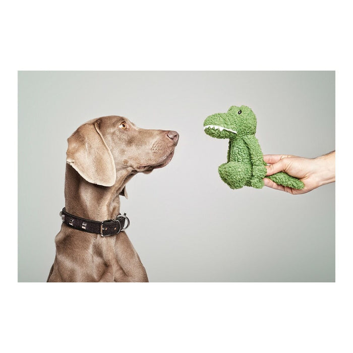 Jucărie pentru câini Gloria Pinky Crocodil Verde