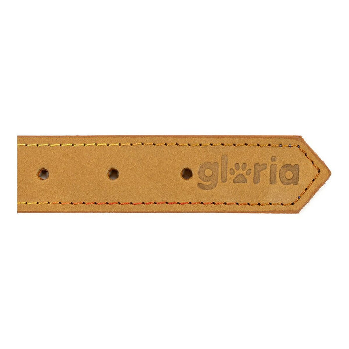 Zgardă pentru câini Gloria Oasis Galben (1,5 x 40 cm)