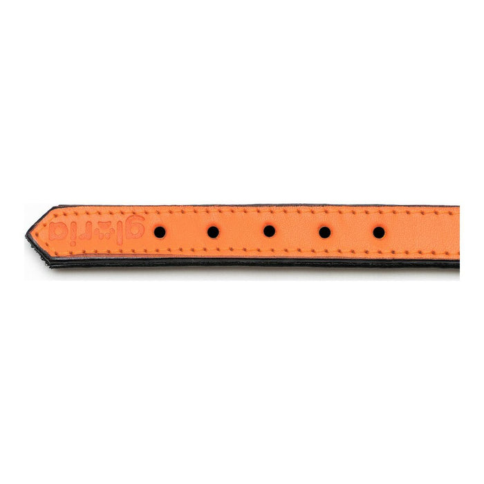 Zgardă pentru câini Gloria Căptușit Portocaliu (30 x 1,5 cm)
