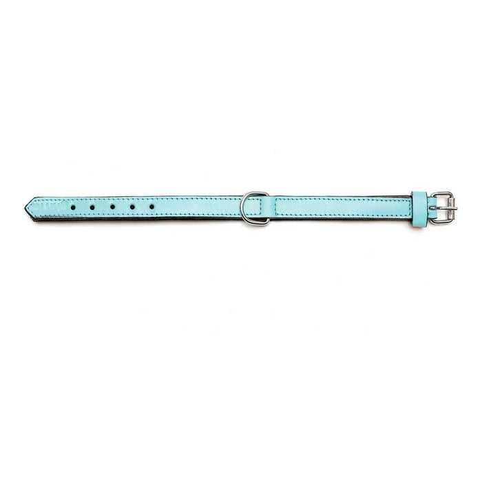 Zgardă pentru câini Gloria Căptușit Albastru (50 x 2,5 cm)