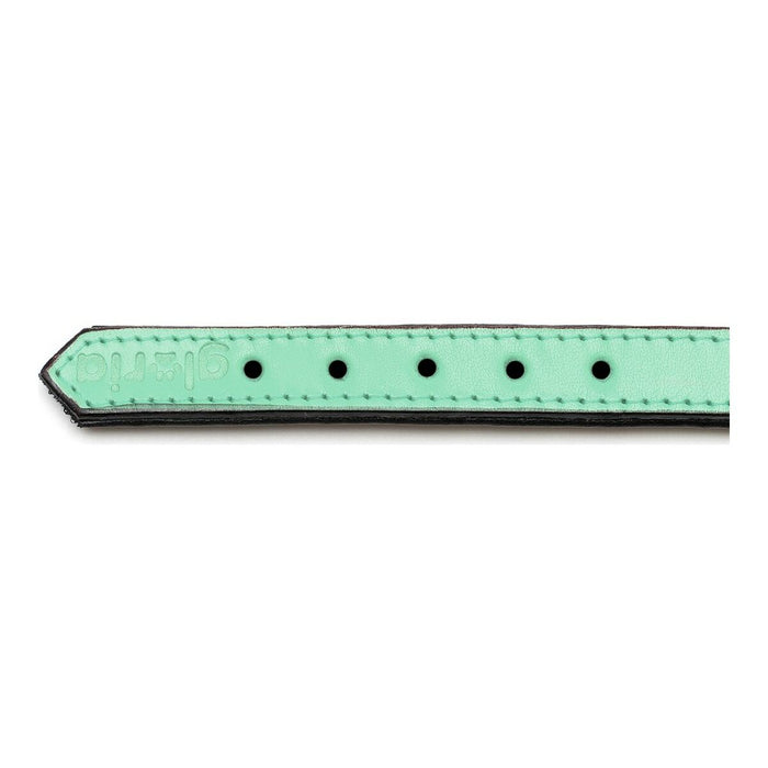 Zgardă pentru câini Gloria Căptușit Verde (45 x 2 cm)