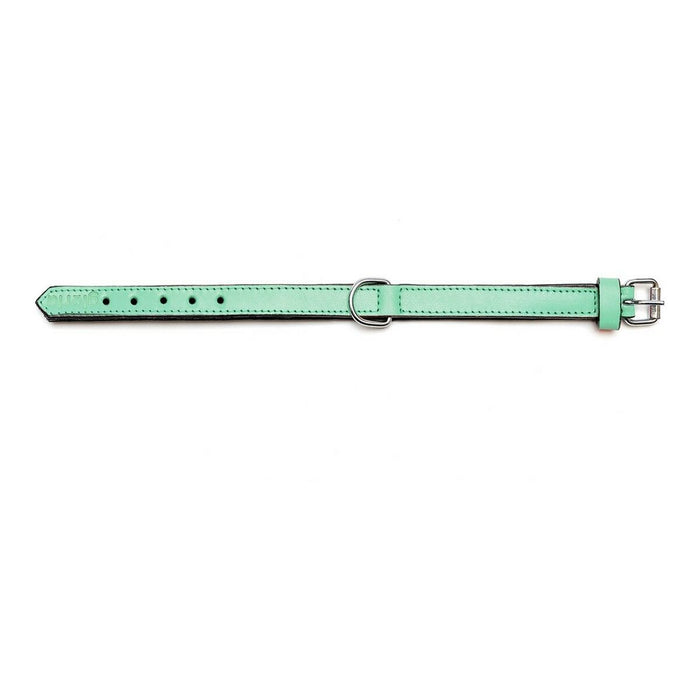 Zgardă pentru câini Gloria Căptușit Verde (50 x 2,5 cm)
