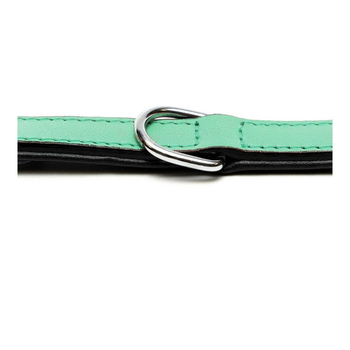 Zgardă pentru câini Gloria Căptușit Verde (50 x 2,5 cm)