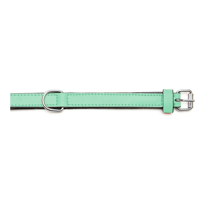 Zgardă pentru câini Gloria Căptușit Verde (55 x 2,5 cm)