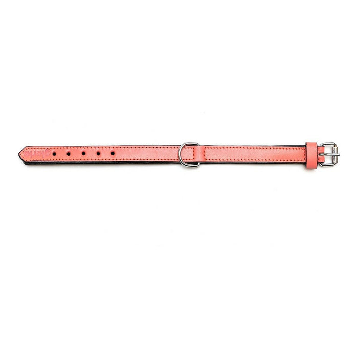 Zgardă pentru câini Gloria Căptușit Coral (30 x 1,5 cm)