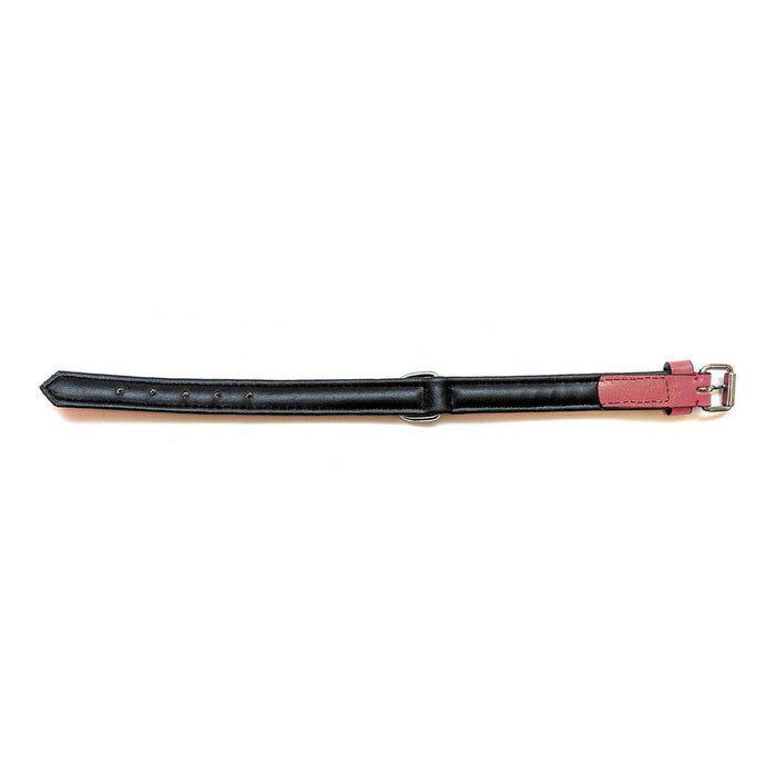 Zgardă pentru câini Gloria Căptușit Coral (35 x 1,5 cm)