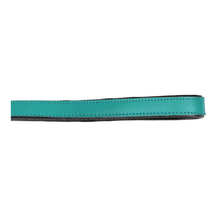 Lesă pentru câine Gloria Turquoise 1.8 x 100 cm