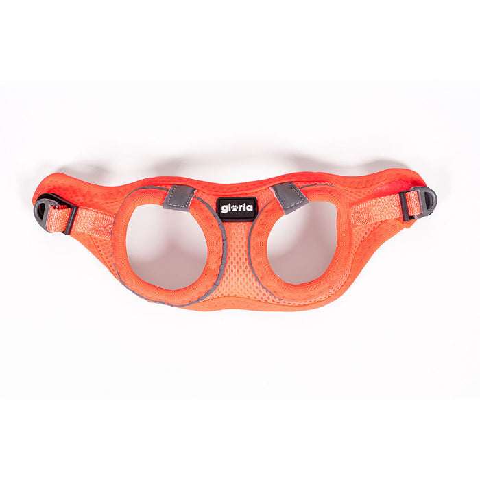 Ham pentru câini Gloria Trek Star 29,4-32,6 cm 41,4-43 cm Portocaliu S