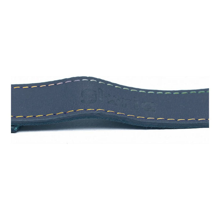 Lesă pentru câine Gloria Oasis 3 x 60 cm Albastru