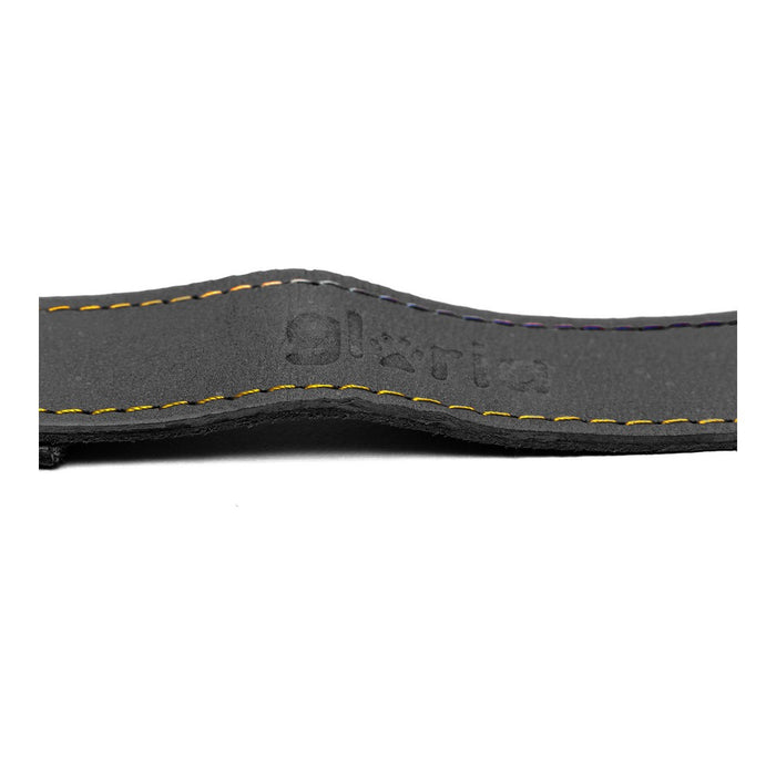 Lesă pentru câine Gloria Oasis 3 x 60 cm Negru