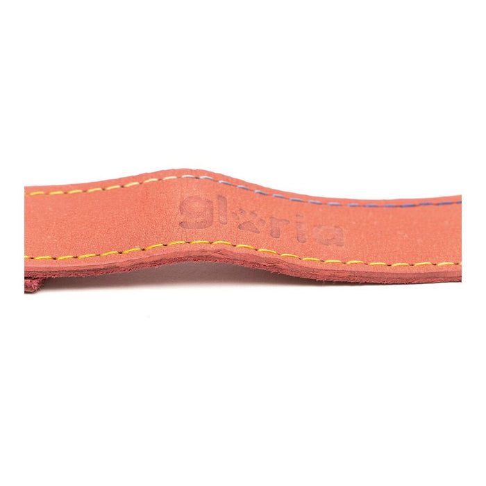 Lesă pentru câine Gloria Oasis 3 x 60 cm Roz