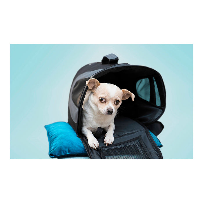 Transportor Gloria Gloss Mărimea S Pliabil Negru black (35 x 22 x 23 cm)