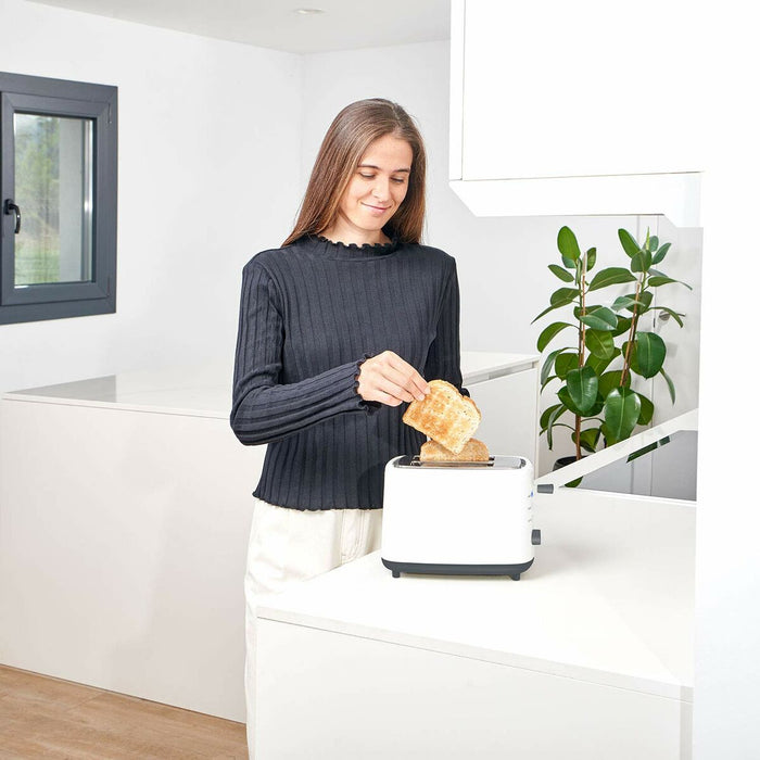 Prăjitor de Pâine Black & Decker BXTOA820E 820 W
