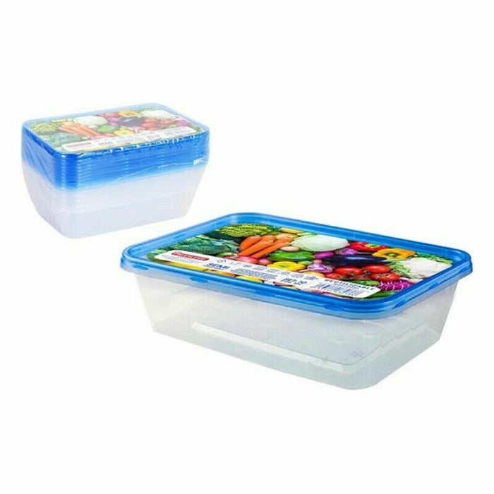 Set de 10 Cutii pentru Prânz Privilege 500 ml