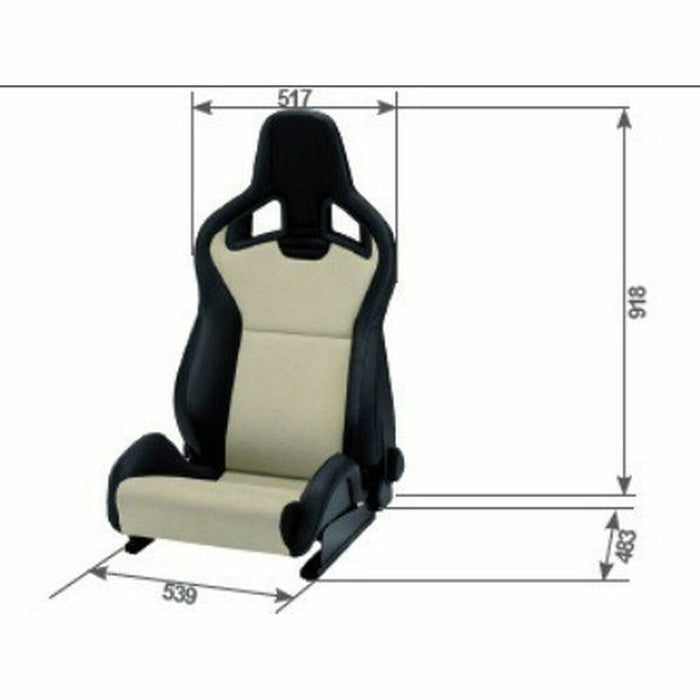 Scaun de curse Recaro SPORTSTER CS Negru Pilot