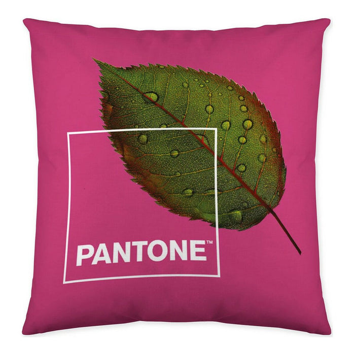 Husă de pernă de canapea Nature Pantone Reversibil/ă 50 x 50 cm