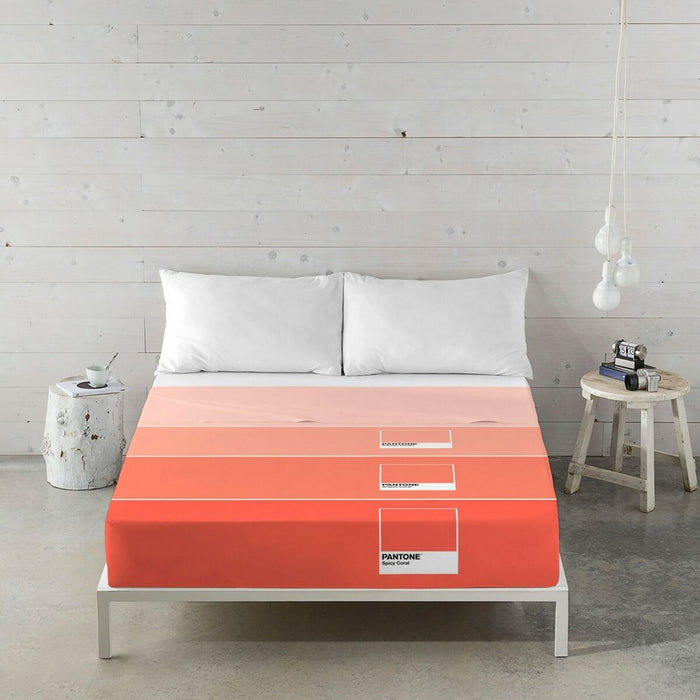 Set de foi Ombre B Pantone