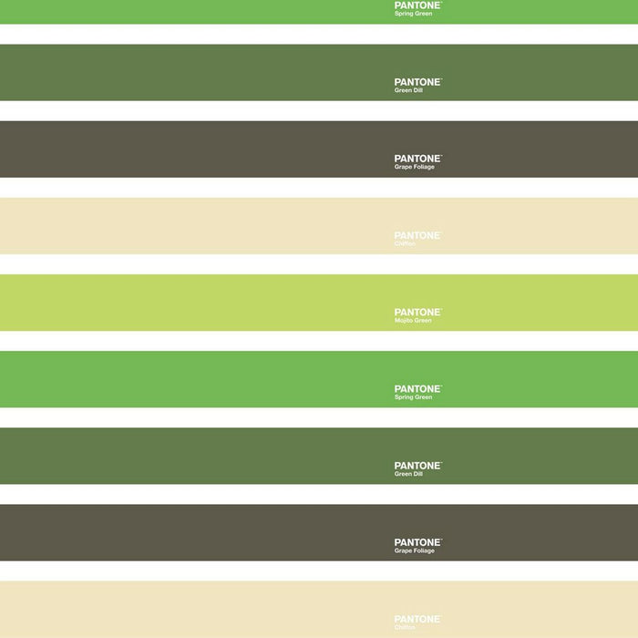Set de foi Wide Pantone