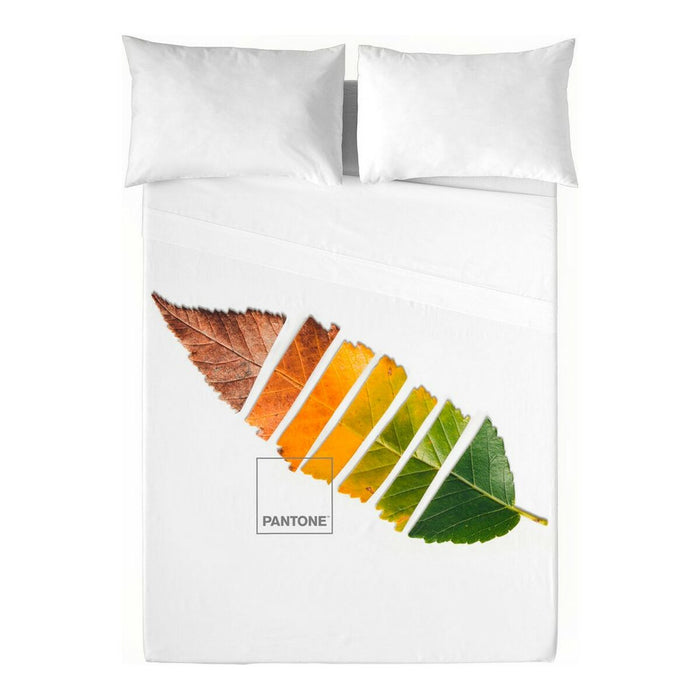 Set de foi Leaf Pantone