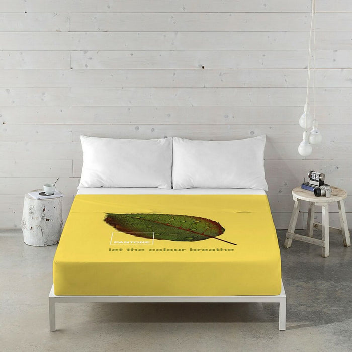 Set de foi Nature Pantone