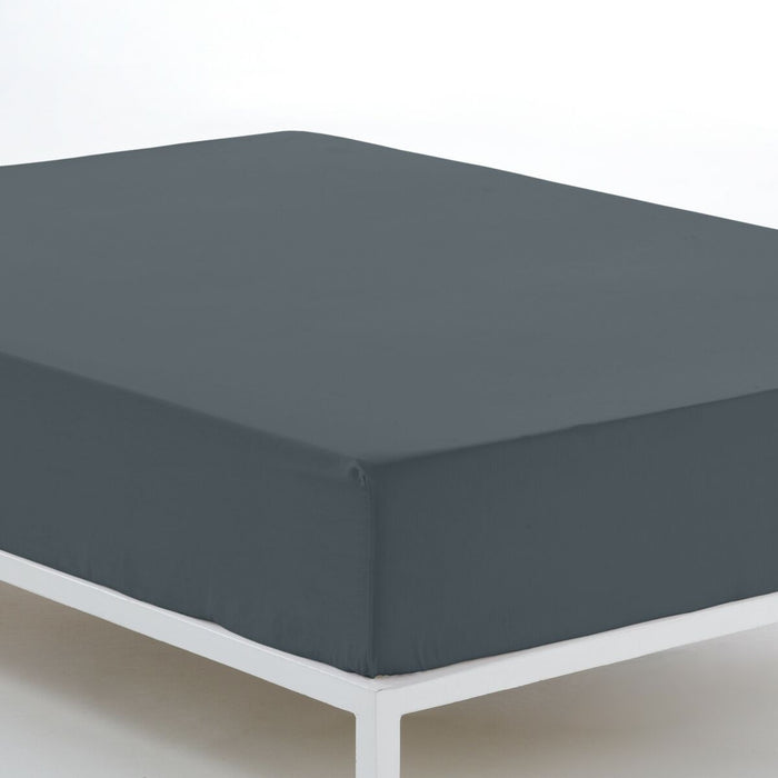 Foaie de jos Alexandra House Living Gri 190/200 x 200 cm