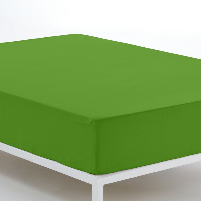 Foaie de fund montată Alexandra House Living Verde 160 x 200 cm