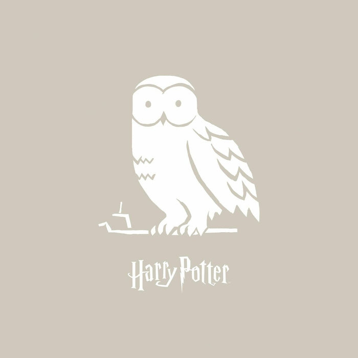 Husă de pilotă Harry Potter Magical Hedwig Multicolor 155 x 220 cm Pat 90