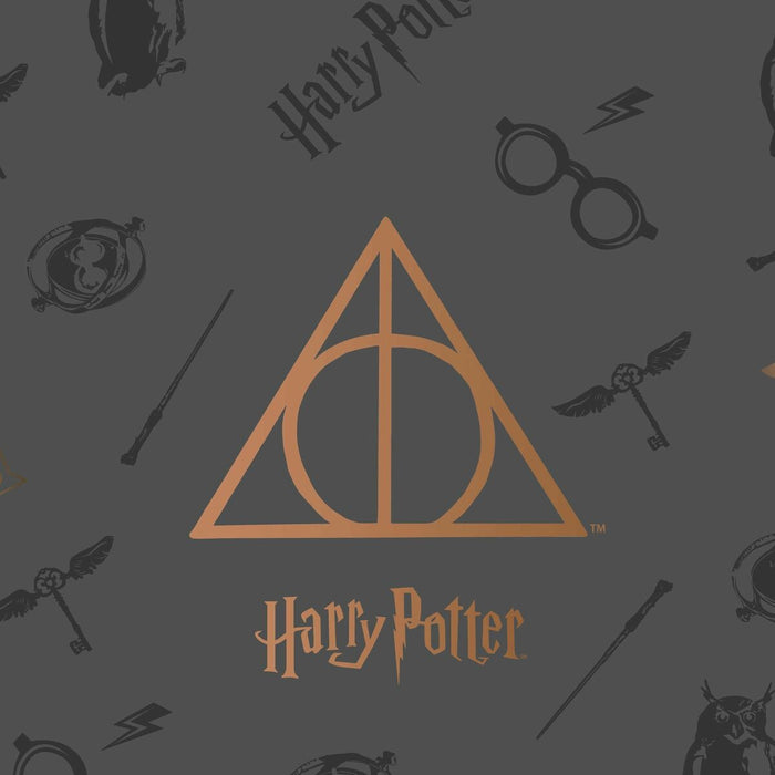 Cuvertură (de pat) Harry Potter Deathly Hallows Multicolor Cama 90 cm 190 x 270 cm Pat 90 cm