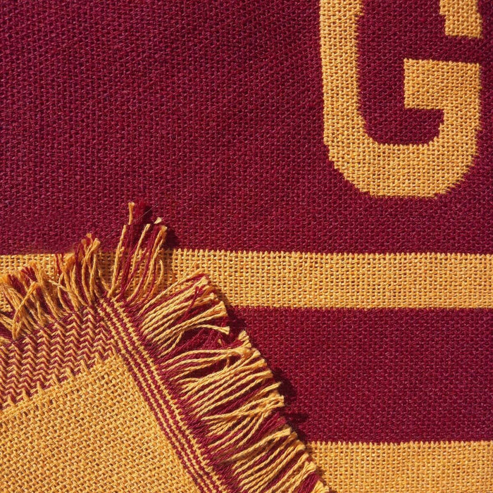 Pătură Harry Potter Gryffindor Values 130 x 170 cm 130 x 2 x 170 cm
