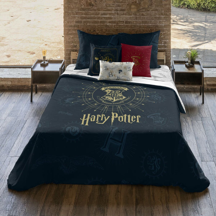 Husă de pilotă Harry Potter Dormiens Draco 200 x 200 cm Pat 120