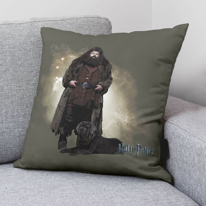 Husă de pernă de canapea Harry Potter Hagrid 50 x 50 cm