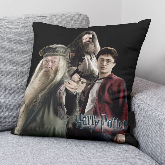 Husă de pernă de canapea Harry Potter Team 50 x 50 cm