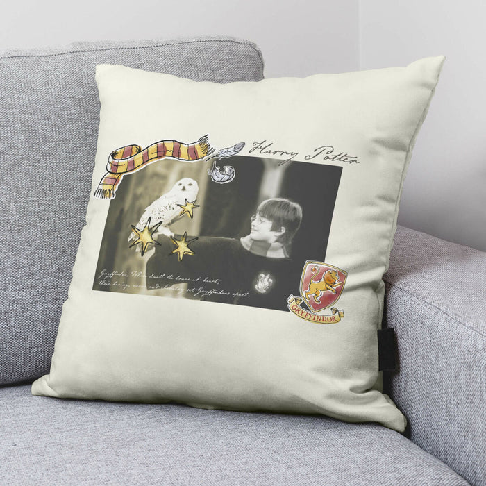 Husă de pernă de canapea Harry Potter Little Memories 50 x 50 cm