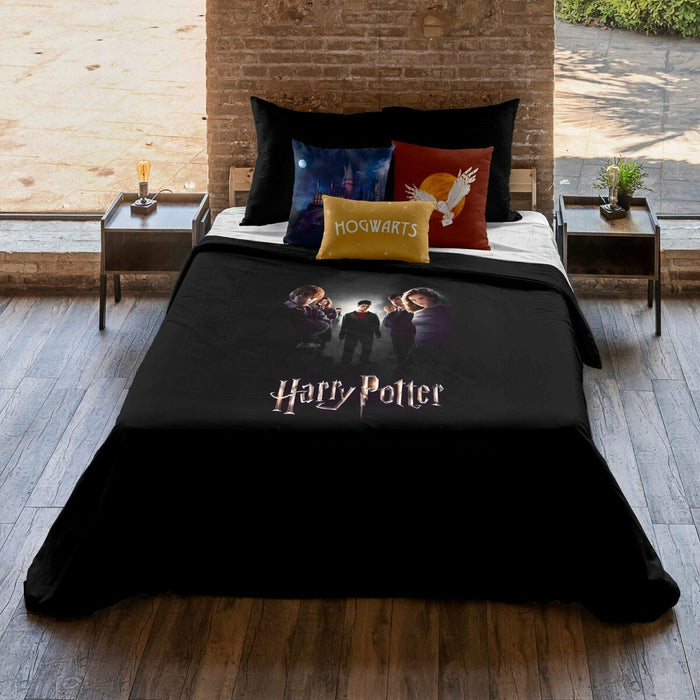 Husă de pilotă Harry Potter Dumbledore's Army Multicolor 200 x 200 cm Pat 120