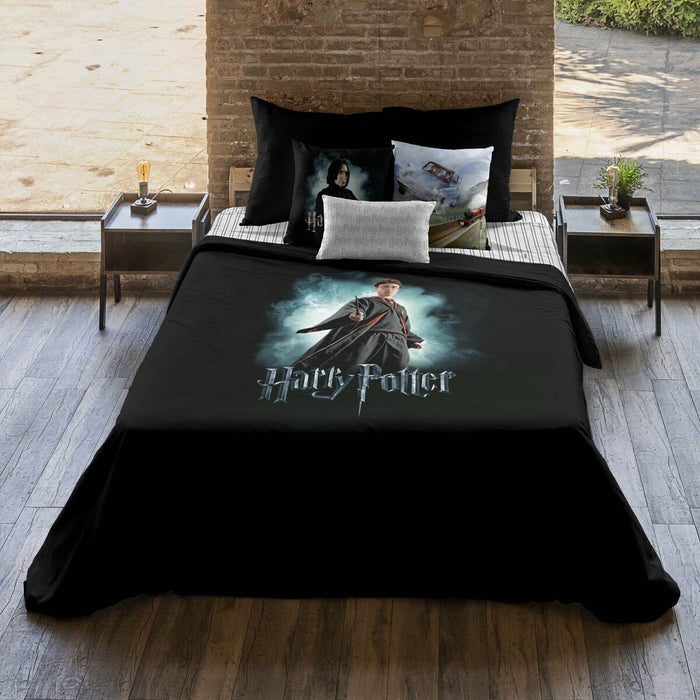 Husă de pilotă Harry Potter Multicolor 155 x 220 cm Pat 90