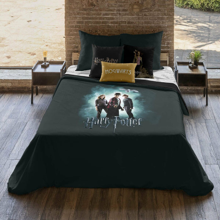 Husă de pilotă Harry Potter Lumos Multicolor 240 x 220 cm Pat 150/160