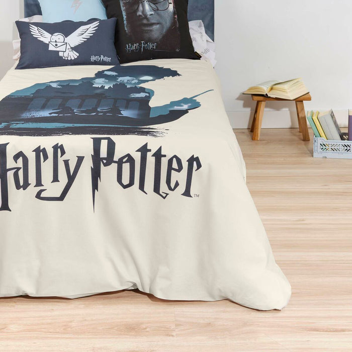 Husă de pilotă Harry Potter 180 x 220 cm Pat 105