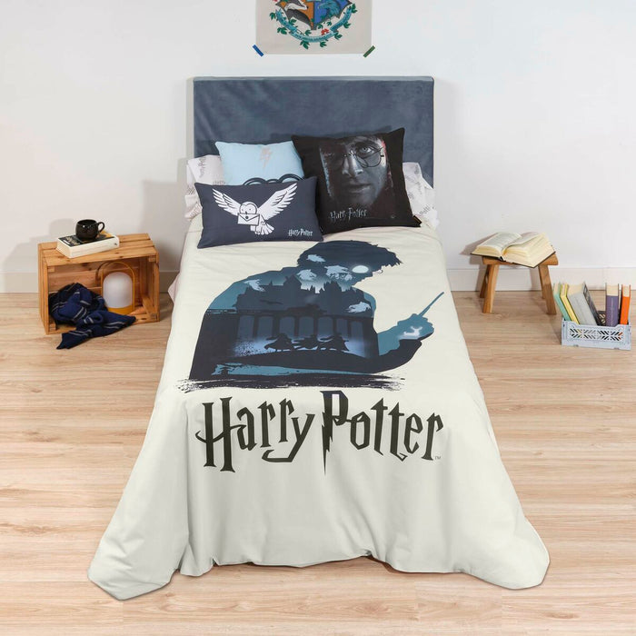 Husă de pilotă Harry Potter 200 x 200 cm Pat 120